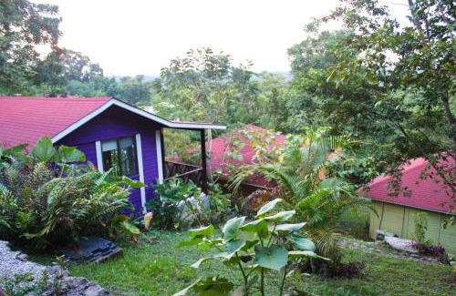 Palenque Cabin | Oceanfront Winíka Alterra: Family-Friendly with Pool & Views