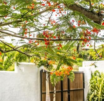 Bethel Villa | Family-Friendly Windance Villa with Pool Access