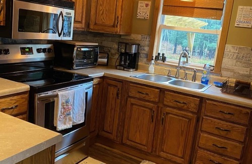 Town of Conesville Cabin | Experience Windham 2 BR Cabin with Vintage Camper Getaway