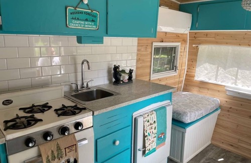 Town of Conesville Cabin | Experience Windham 2 BR Cabin with Vintage Camper Getaway