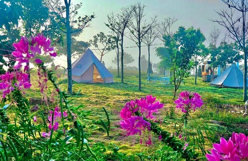 Bao Loc Bed & Breakfast | Discover WINDHILL Bảo Lộc Homestay with Family-Friendly Perks