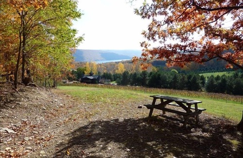 Naples Cabin | Wine Country Retreat: Jim's South Bristol Guest House Awaits