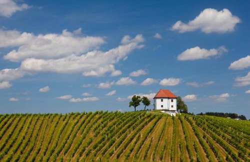 Slovenske Konjice Apartment | Exquisite Wine Grower's Mansion Zlati Gric with Ocean Views