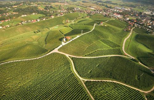 Slovenske Konjice Apartment | Exquisite Wine Grower's Mansion Zlati Gric with Ocean Views