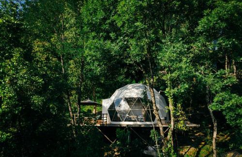 Ambrolauri Hotel | Inviting Wine Space: Top-Rated Stay with Restaurant & Breakfast