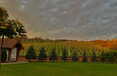 Serednye Hotel | Inviting WineGarden: Top-Rated with Hot Tub & Restaurant