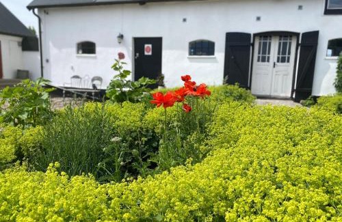 Loderup House | Cozy Wingårdhs B&B Österlen: Rated 9/10, Pet-Friendly Haven