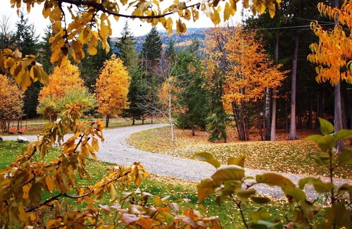 Kaslo Cottage | Top-Rated Wing Creek Resort with Ocean & Lake Views