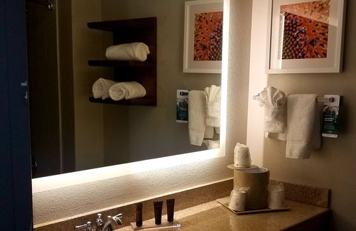 Las Colinas Hotel | Comfortable Stay at Wingate by Wyndham DFW / North Irving