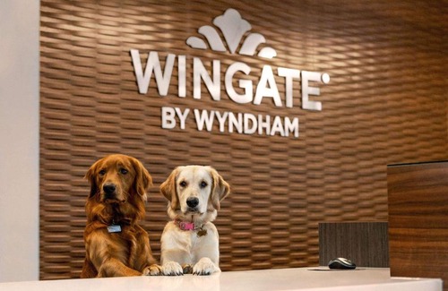 Downtown Hotel | Enjoy Comfort at Wingate by Wyndham Lethbridge Hotel