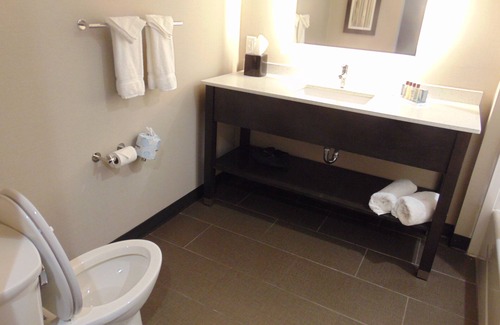 North by Northwest Hotel | Comfortable Stay at Wingate by Wyndham Lubbock Near Texas Tech