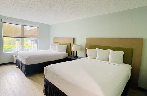 Matthews Hotel | Eco-Friendly Wingate by Wyndham Matthews with Pool & Spa