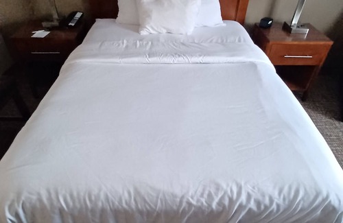 New Stanton Hotel | Welcoming Wingate by Wyndham Pittsburgh/New Stanton Hotel