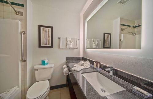 Round Rock Hotel | Relaxing Stay at Wingate by Wyndham - Round Rock