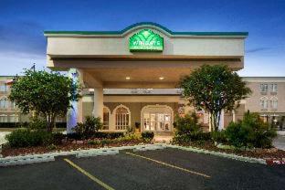 San Marcos Hotel | Discover Wingate by Wyndham San Marcos with Pool & Kitchen