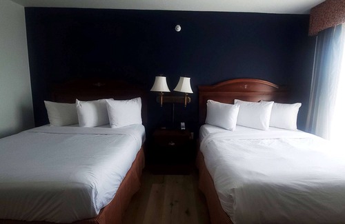 Austintown Hotel | Discover Wingate by Wyndham Youngstown - Family-Friendly Stay