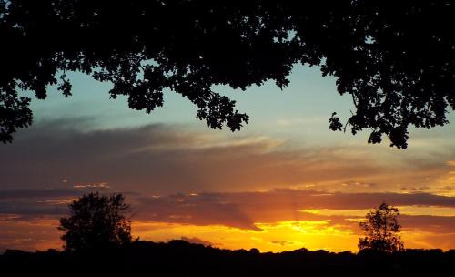 East Dereham House | Wingate Cottage: Pet-Friendly Retreat with Top Guest Ratings