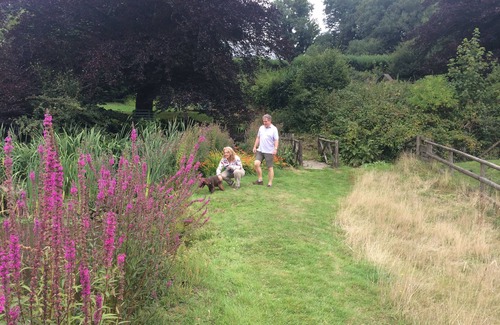 Wheddon Cross Cottage | Winsford Cottage: Pet-Friendly Retreat in Exmoor National Park