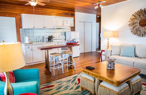 St. Augustine Beach Apartment | Experience Winston at Ruby Dog on B Street: Pet Friendly Stay