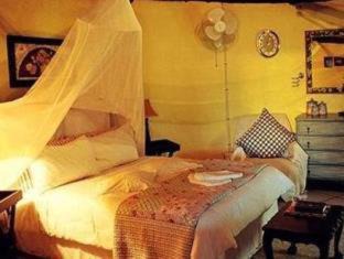 Winterton Cabin | Charming Winterton Country Lodge with Oceanfront Pool Access