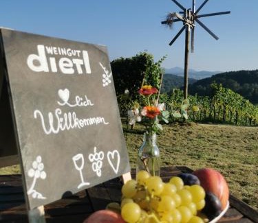 Kornberg bei Riegersburg House | Exceptional Winzer Suite at Weingut Dietl - Family Friendly