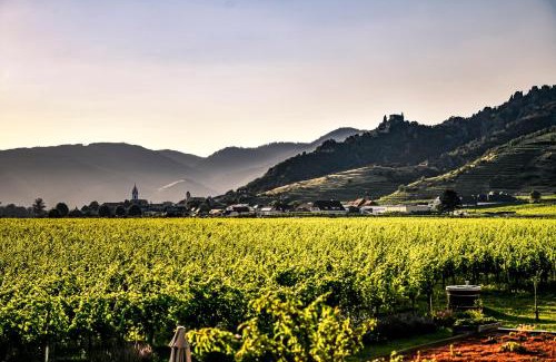 Oberloiben Apartment | Family-Friendly Retreat at Winzerhof Mörtinger