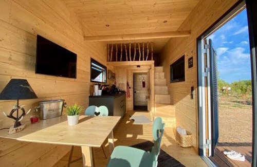 Elsfleth Apartment | Top-Rated WiNZiG Wohnen Tiny House SKADI by the Ocean