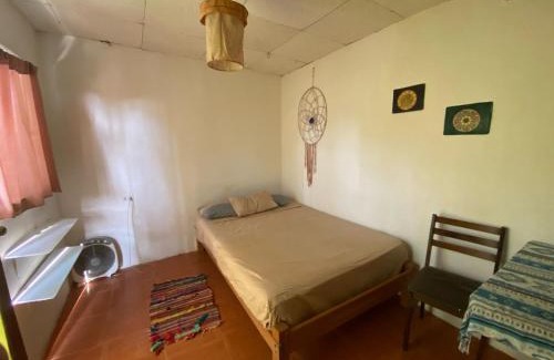 Mancora House | Pet-Friendly Surf Camp at Wiracocha Hostal Máncora