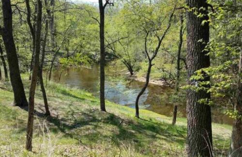 Lake Delton House | Cozy Cabin Retreat in the Woods - Family Friendly Escape