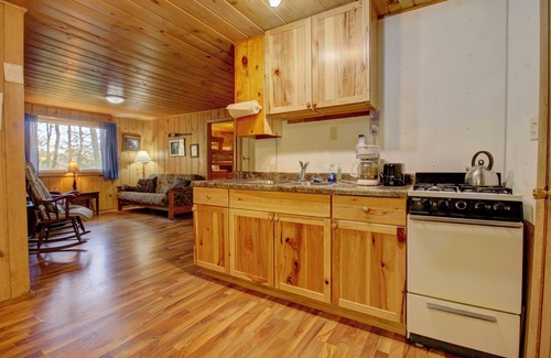 Lac du Flambeau Cabin | Cozy Northwoods Cabin with Private Dock for Families & Pets