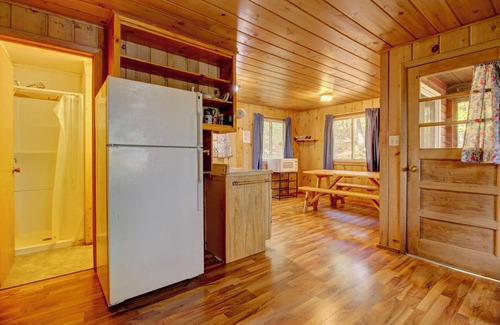 Lac du Flambeau Cabin | Cozy Northwoods Cabin with Private Dock for Families & Pets