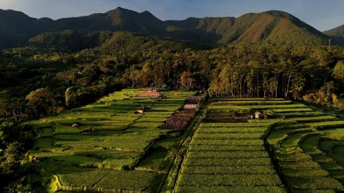 Kumba House | Top-Rated Family-Friendly Stay at Wisma PO'ONG