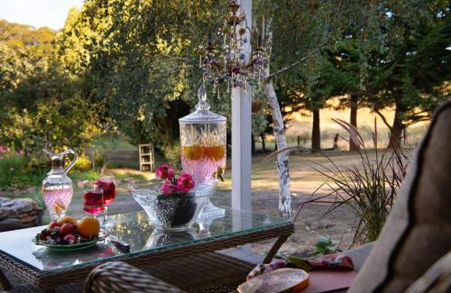 Dry Diggings House | Wisteria Hysteria: Pet-Friendly 4-Star Retreat Awaits