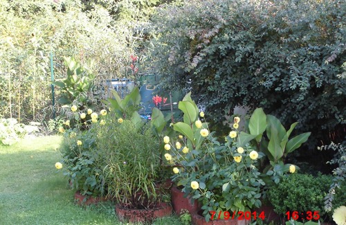 Alt Zauche-Wußwerk Apartment | Stork's Nest View: Guest Rated 9.8 with Pool & Spa
