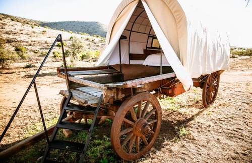 Blue Crane Route Other | Outstanding Witmos Oxwagoncamp: Pet-Friendly Retreat