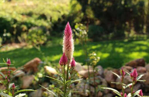 Patensie Apartment | Cozy Witrivier Farmstay: Family-Friendly Self-Catering Retreat