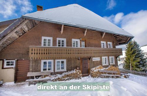 Todtnauberg Apartment | Relaxing Wohlfühl-Ferienwohnung with Scenic Views & Home Cinema