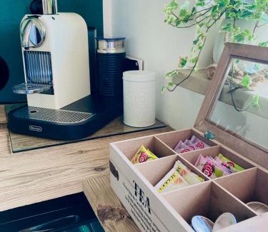 Singen Apartment | Comfortable Apartment with Parking & Fast WiFi Near Bodensee