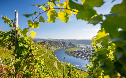 Guels Hotel | Oceanfront Relaxation at WohnGut Koblenz - 4-Star Stay