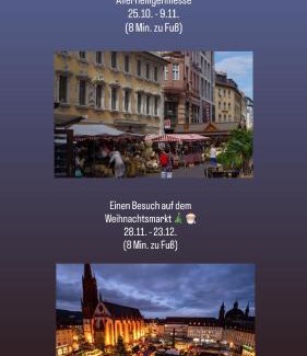 Wuerzburg Apartment | Enjoy a Balcony Stay at Wohnung Alte Mainbrücke