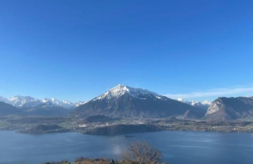 Aeschlen ob Gunten Apartment | Wohnung
