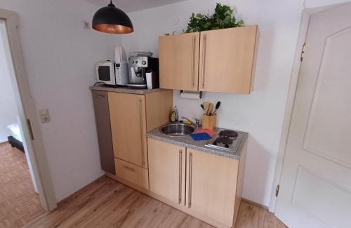 Reichraming Apartment | Pet-Friendly Retreat in Nationalpark Kalkalpen