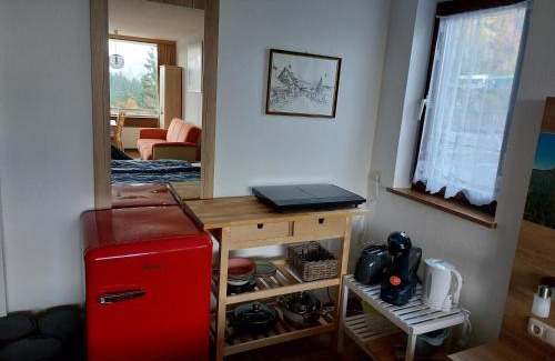 Bad Goisern Apartment | Idyllic Wohnung in Bad Goisern with Oceanfront Views