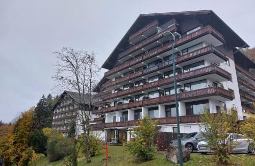 Bad Goisern Apartment | Idyllic Wohnung in Bad Goisern with Oceanfront Views