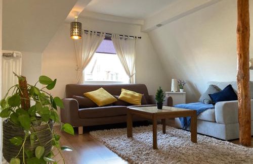 Altstadt Apartment | Cozy Wohnung in Lüneburg: Perfect for Families and Pets