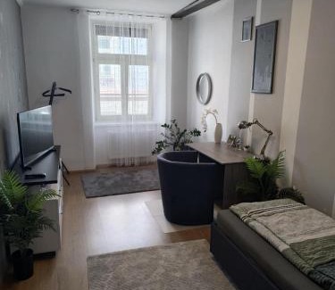 Leoben Apartment | Discover Wohnung in Leoben Zentrum - Guest Rated 8.7/10