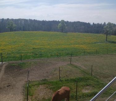 Ravensburg Apartment | Scenic Wohnung mit Ausblick - Guest Rated 8.9/10