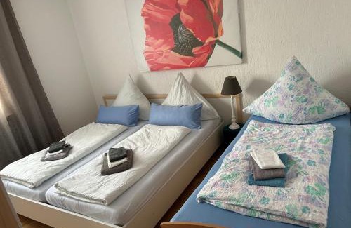 Villingen-Schwenningen Apartment | Family-Friendly Wohnung VS with Great Reviews and Comfort