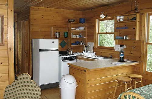 Ely Cabin | Wolf Point Cabin - Exceptional Retreat with Lake Views
