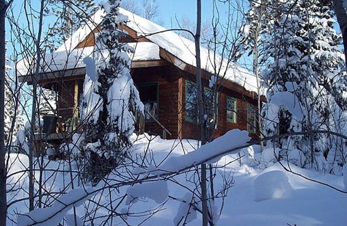 Ely Cabin | Wolf Point Cabin - Exceptional Retreat with Lake Views